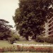 amenagement_exterieur_Chateau-Banquet1
